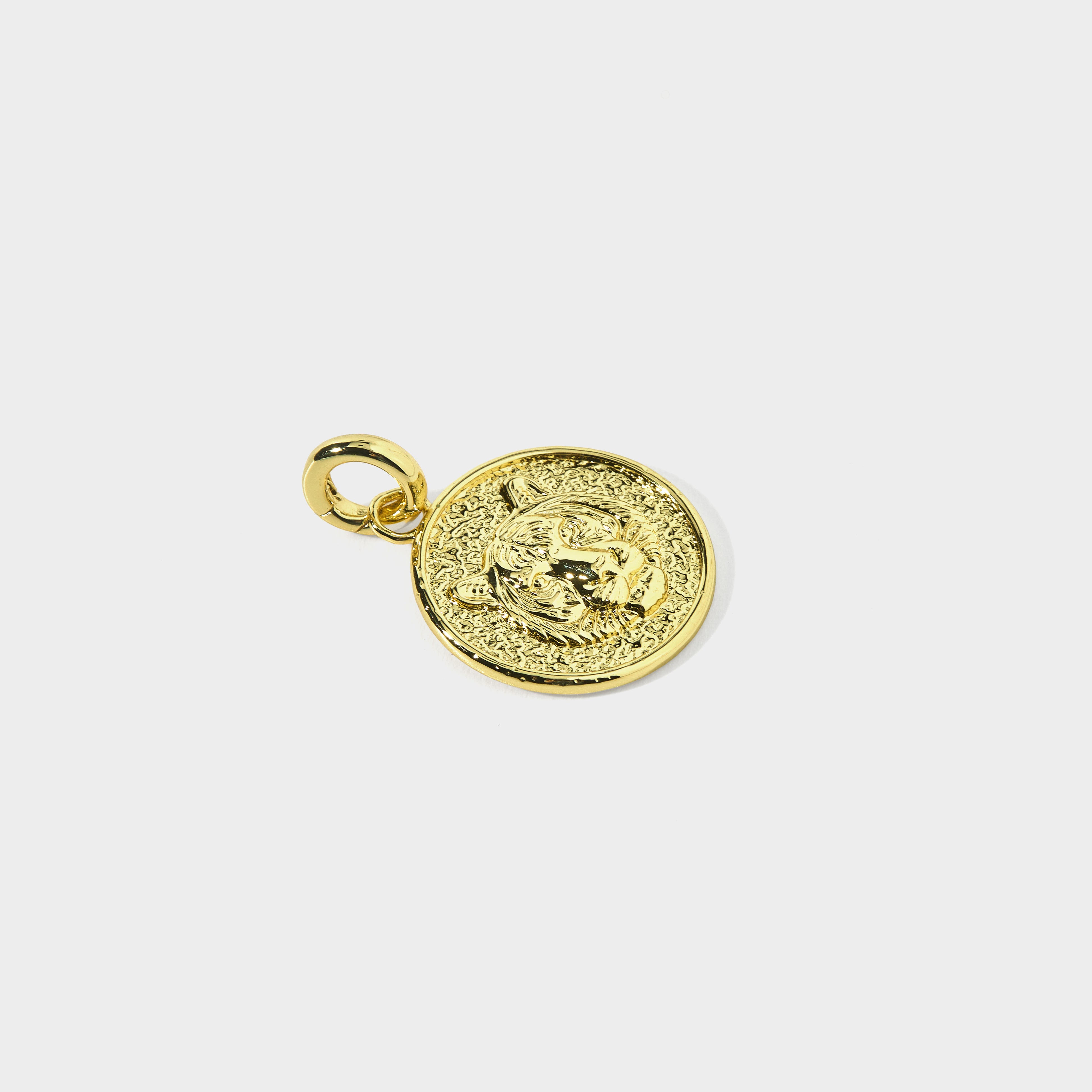 Mascot Charm