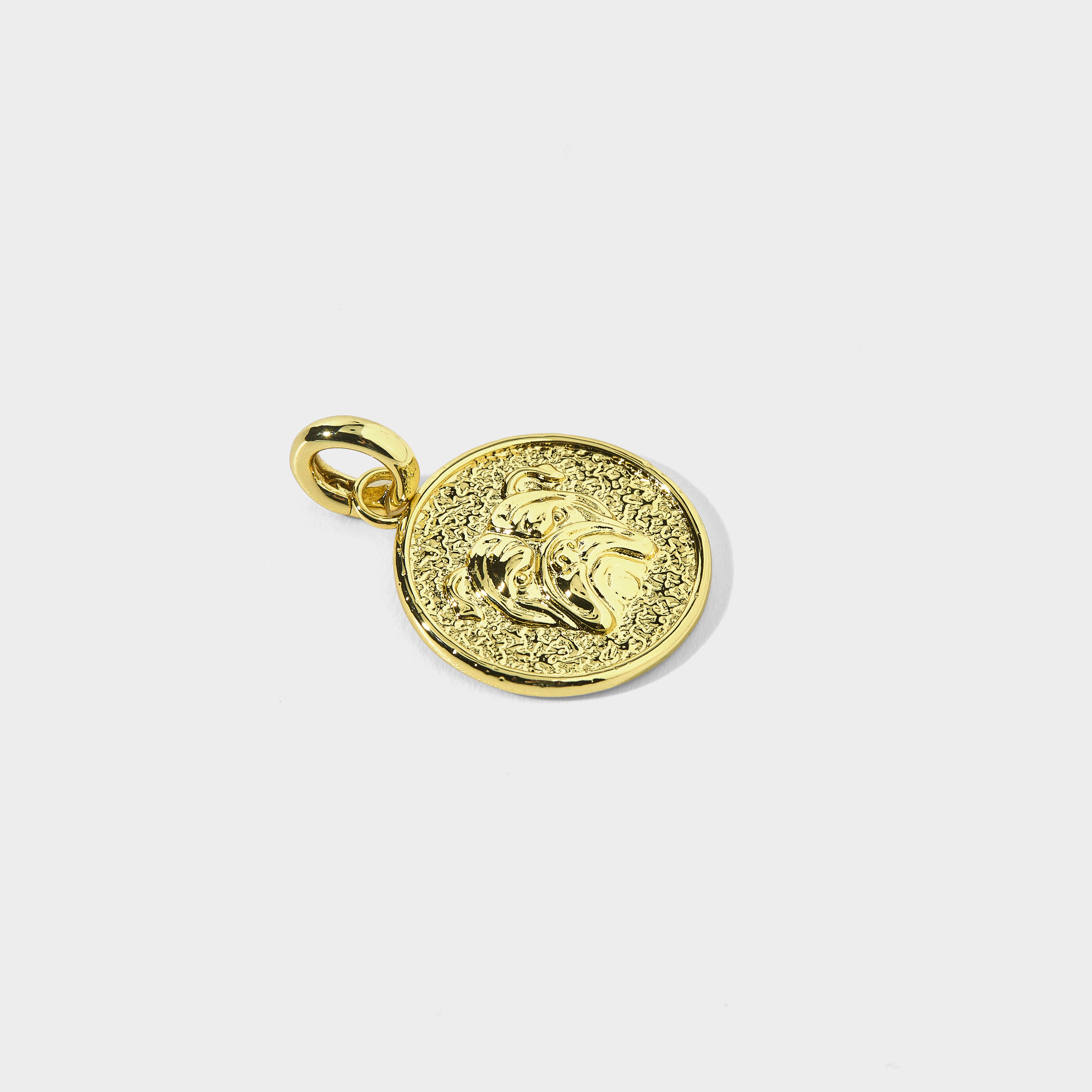 Mascot Charm