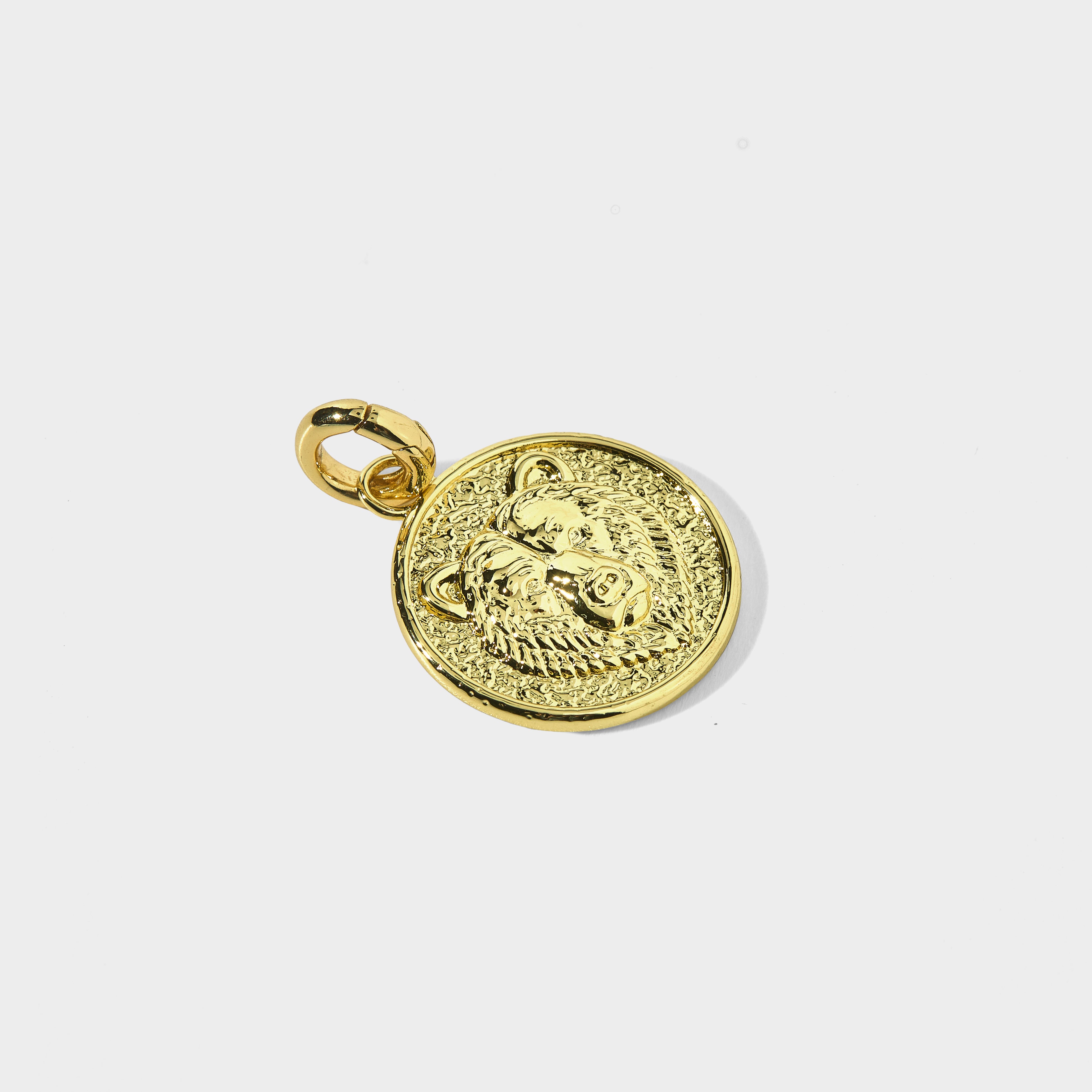Mascot Charm