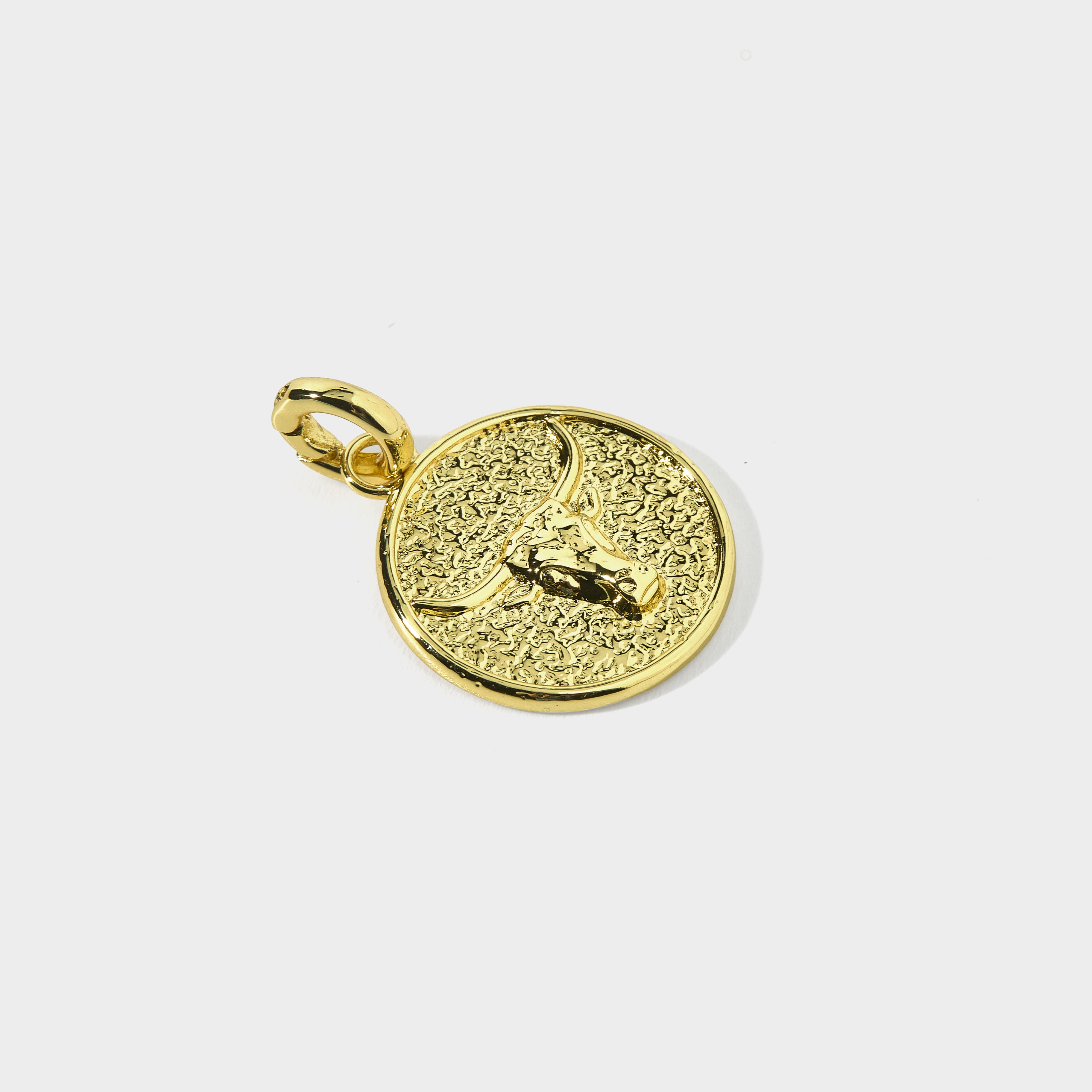 Mascot Charm