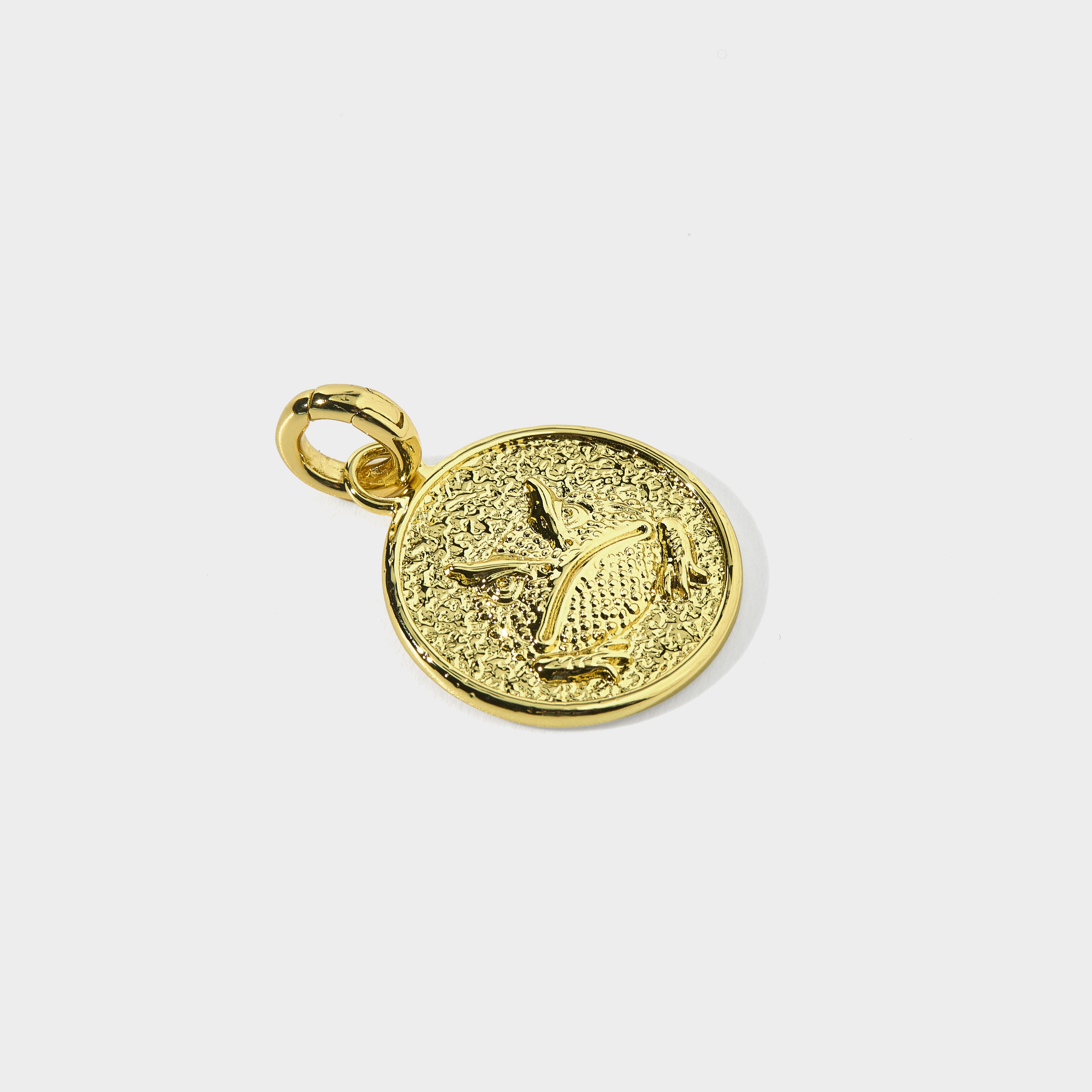 Mascot Charm