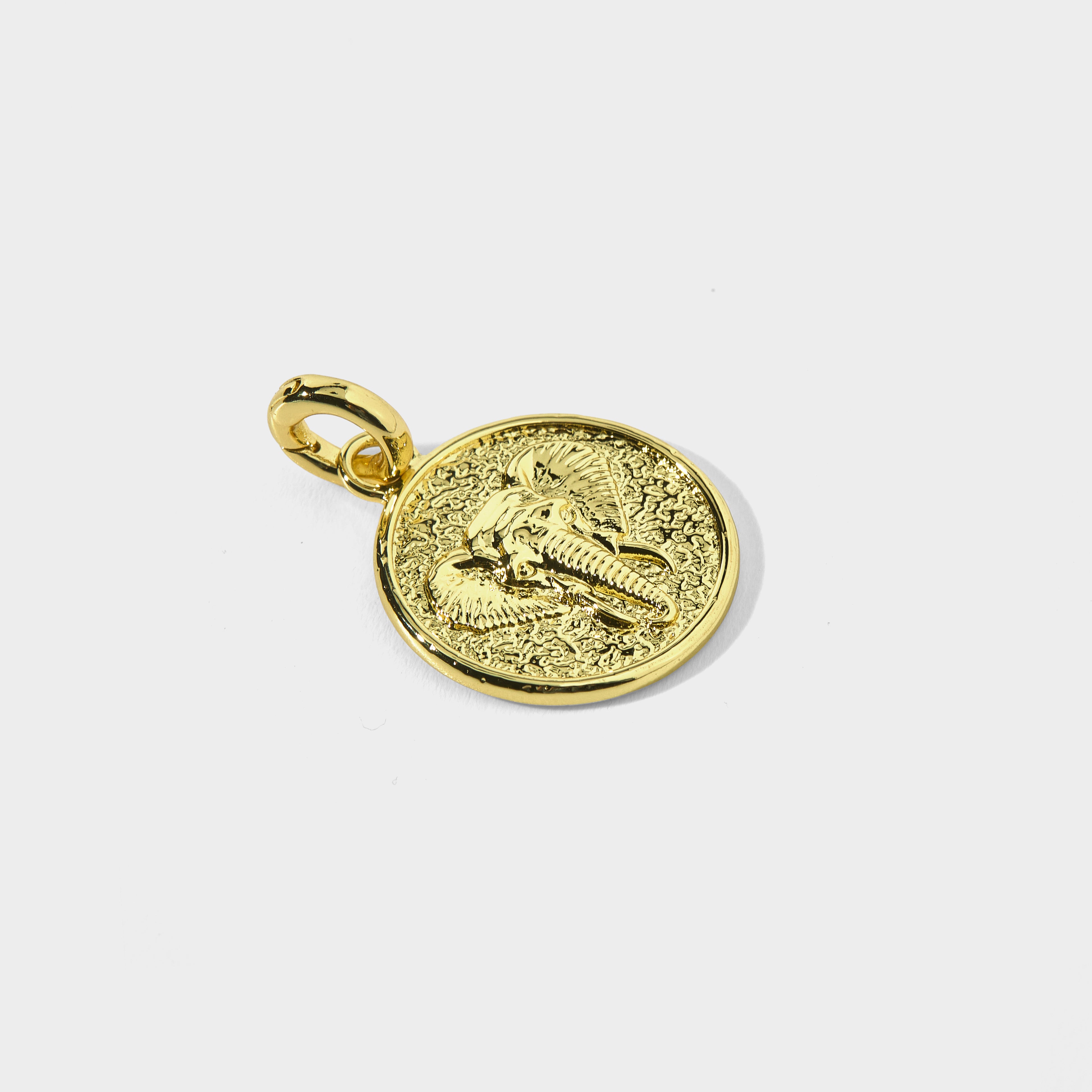 Mascot Charm